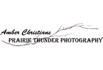 https://prairiethunderphoto.com/