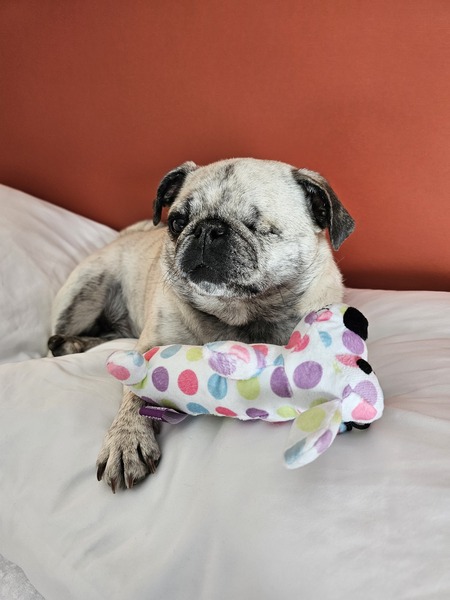 Lola