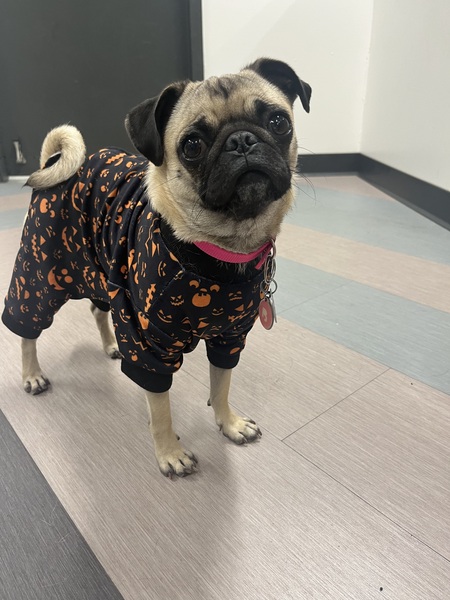 Winnie