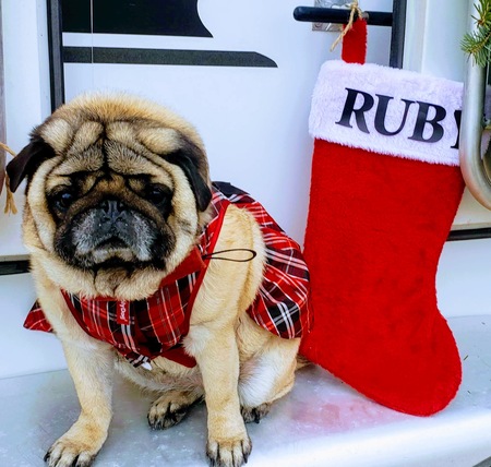Ruby