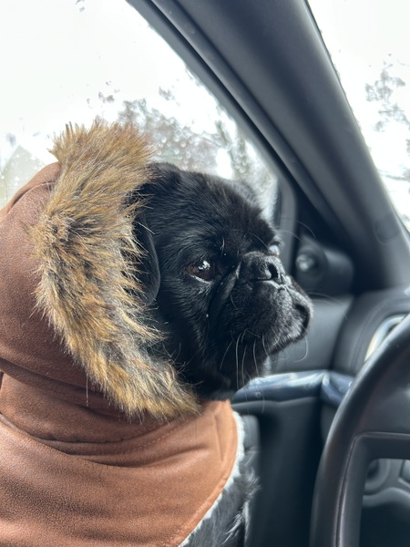 Louie