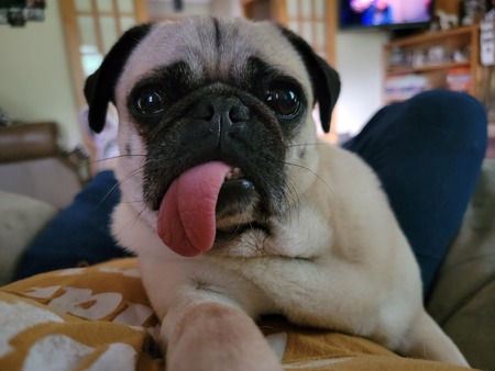 DeeDee 