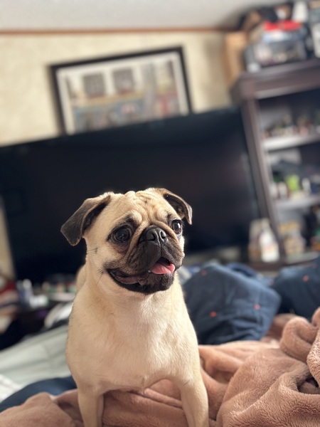 Ellie