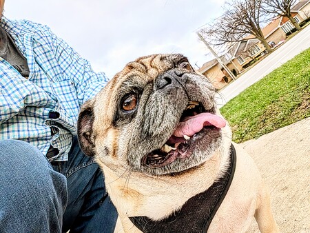 Frank
