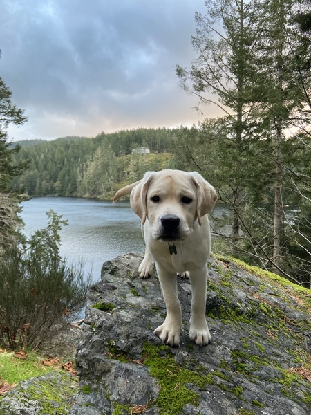 Gus