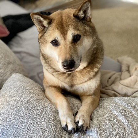 Riley 