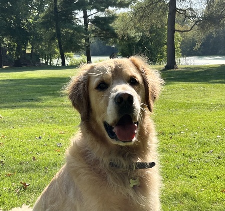 Walter