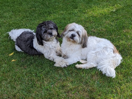 Wallee & Mickey