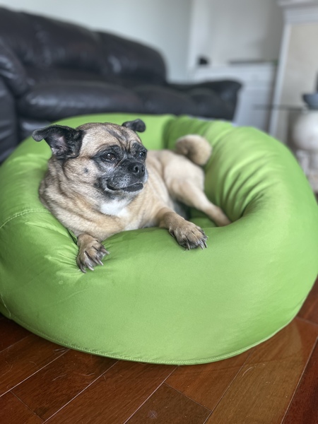 Peanut