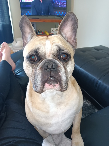 Pablo