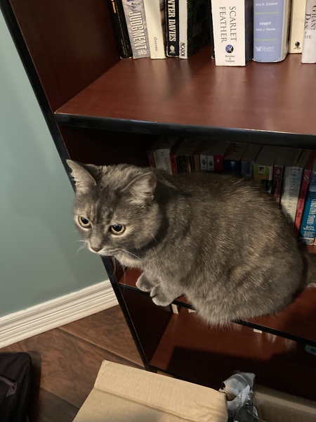 Sookie