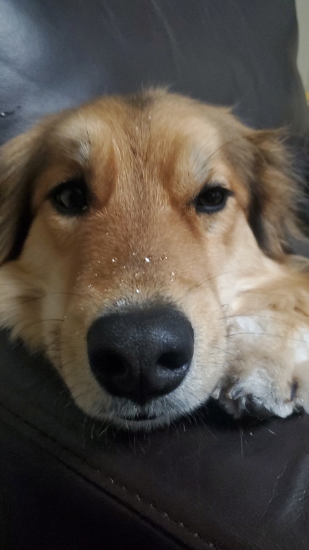 Koko