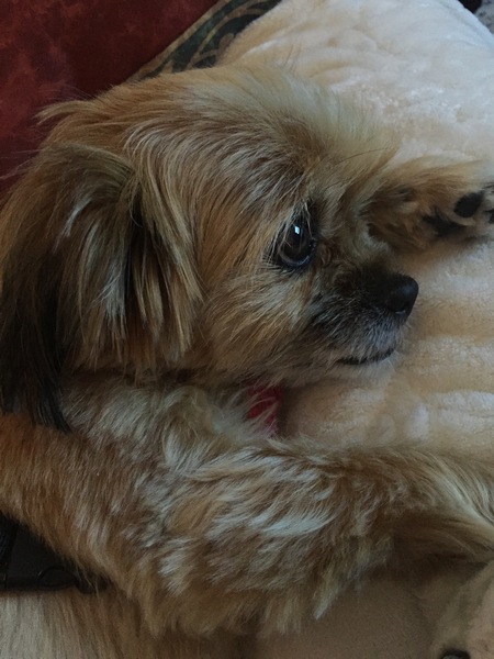 Rosie