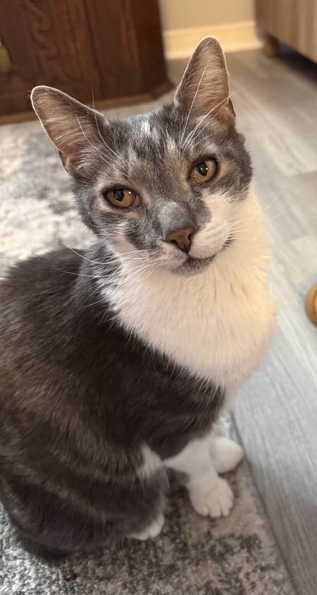 Archie