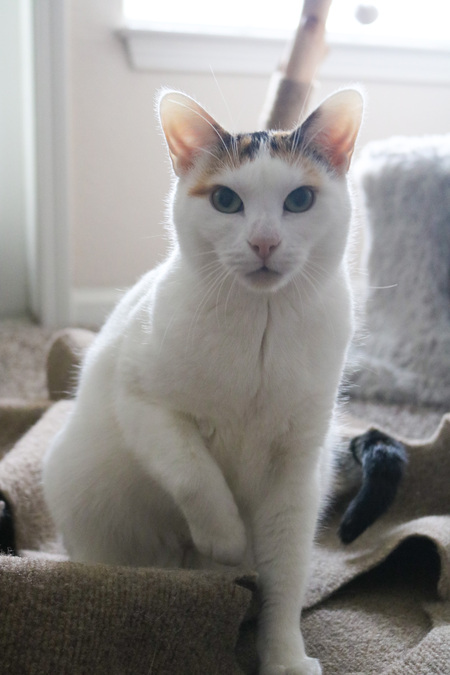 Minnie