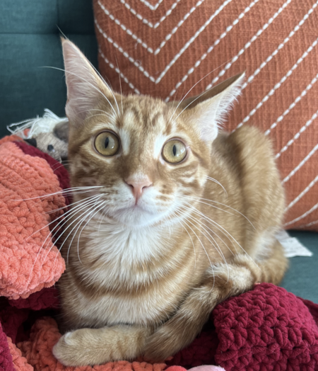 Seymour