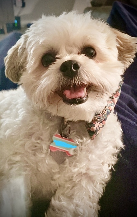 Bernie