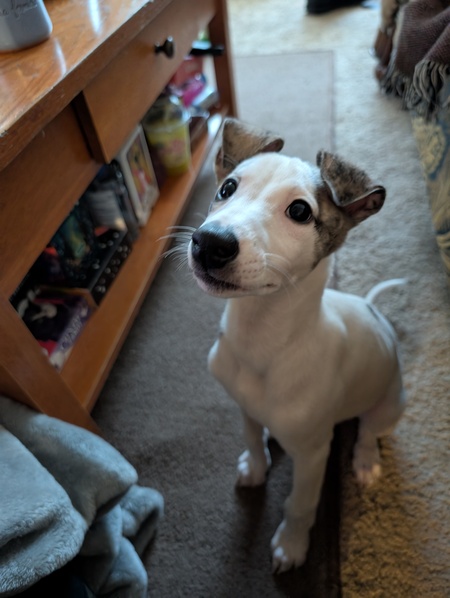 Finnigan