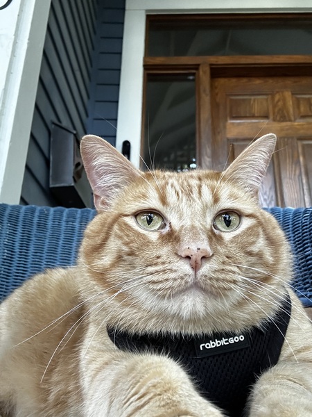 Clyde