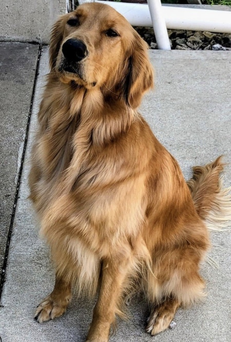 Enzo