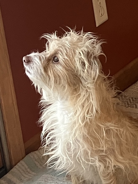 Spike