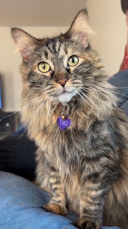 Tiki
