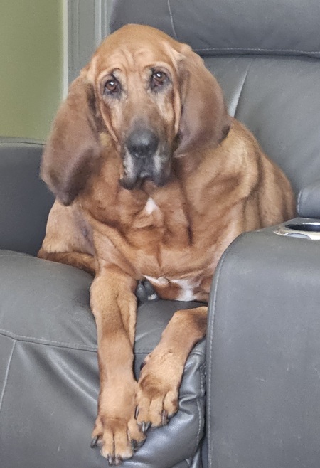 RUBY