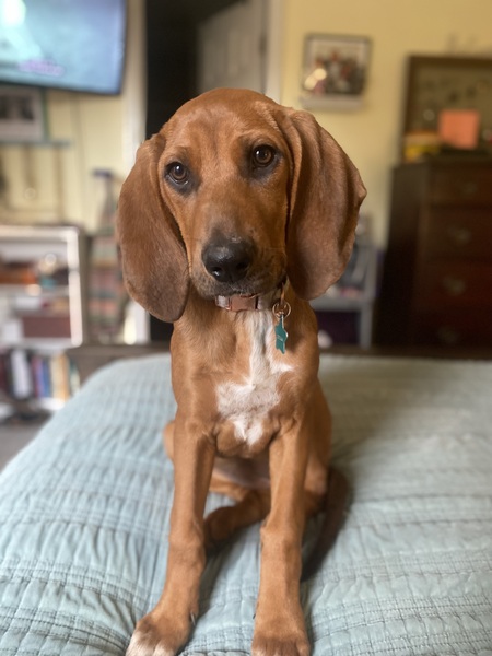 Cecilia Kate aka “CeCe”