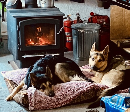 Rocco & Levi