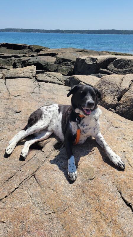 Finnegan