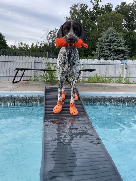 Maverick