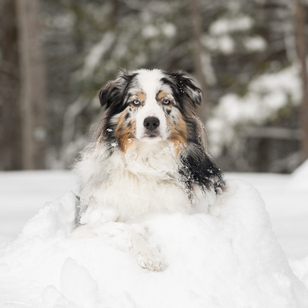 Tuckerman