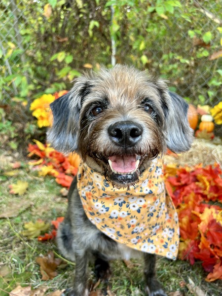 Teegan