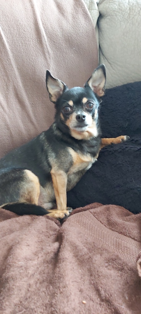 Jax