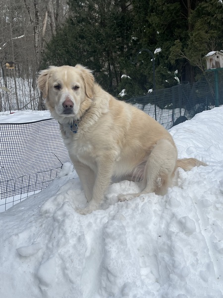 Murphy