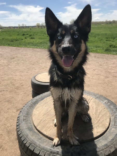 Greta