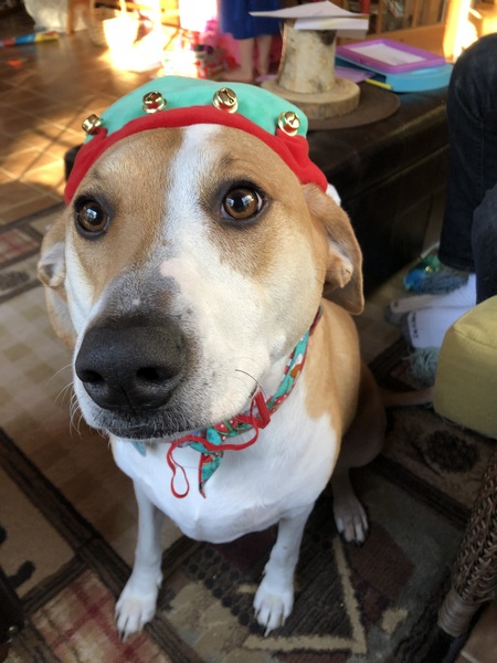 Sophie