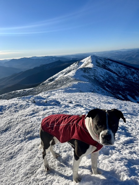 Makalu