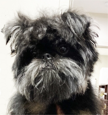 Tucker