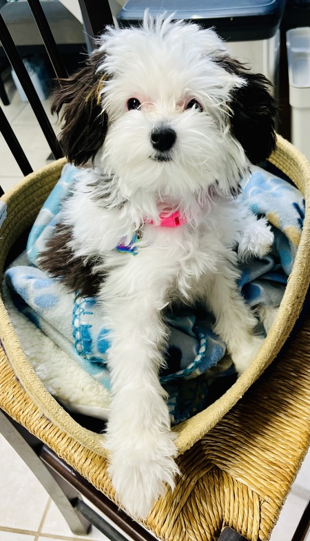 Luna