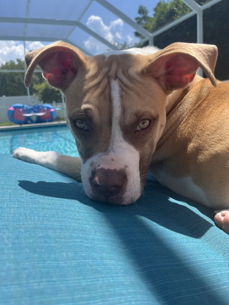 Isabella (Izzy)