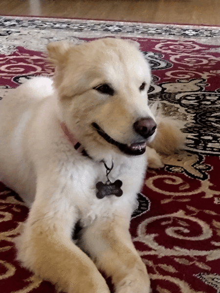 Winnie 