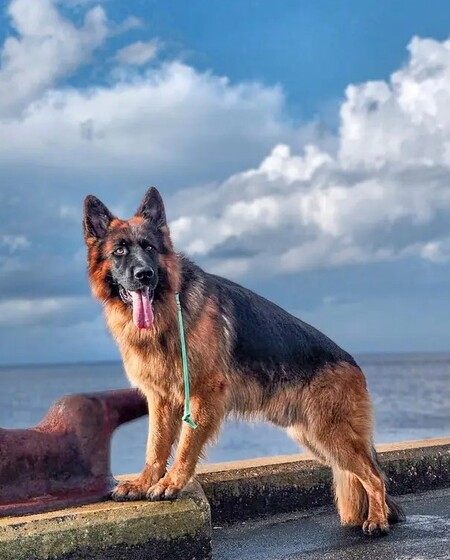 Hudson