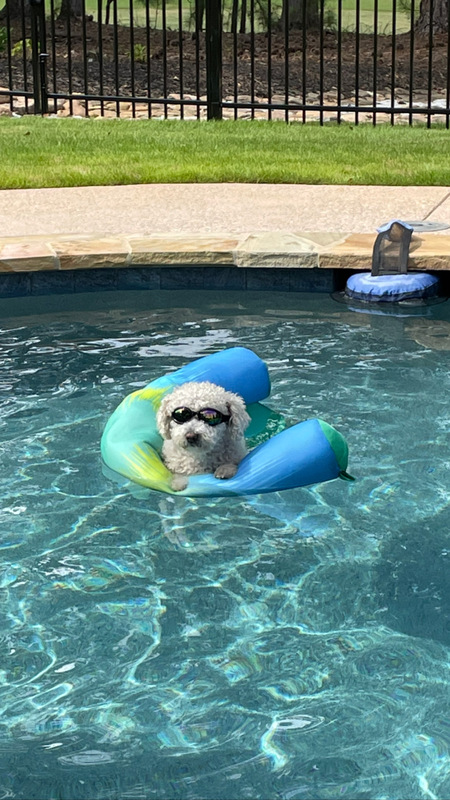 Finn