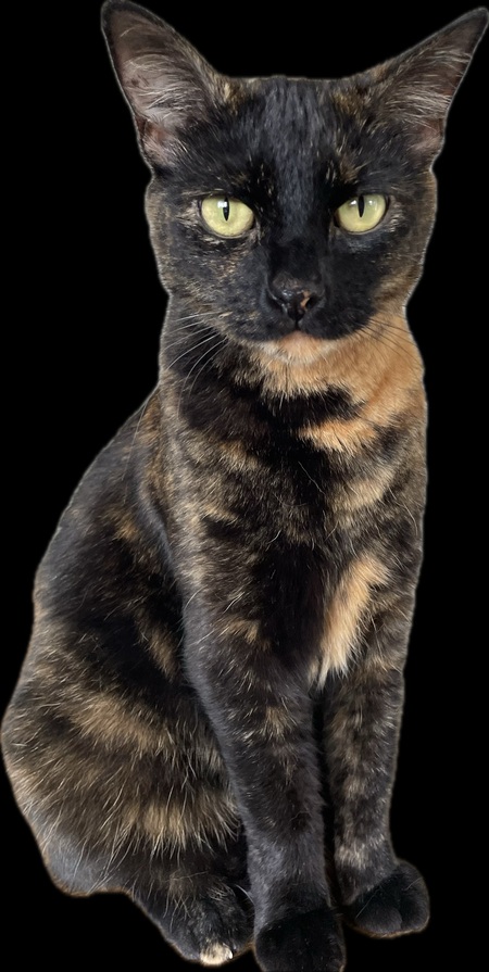 Zoe