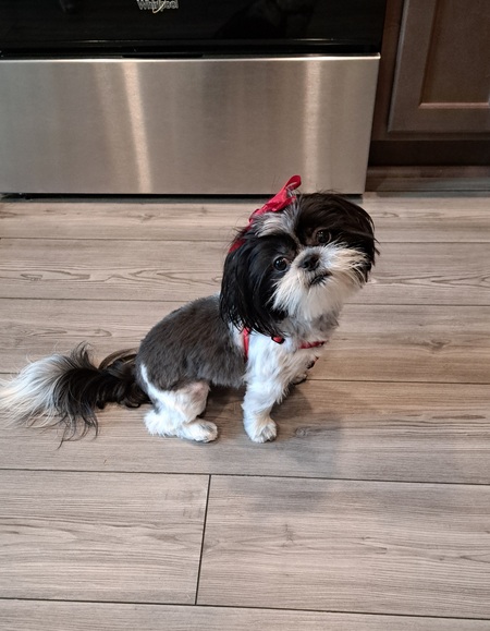 Betty
