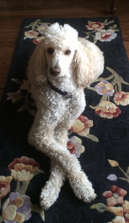 Sophie
