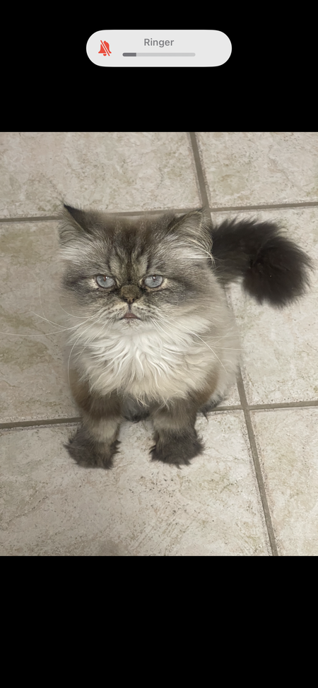 Missy