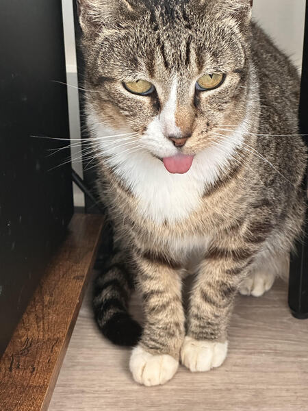 Fiona