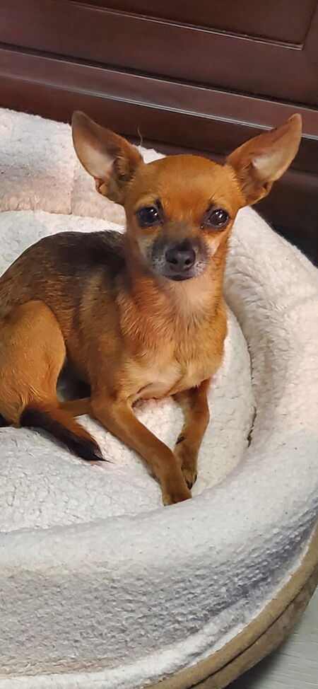 Zoe